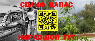 Альфа ПВП Вязники