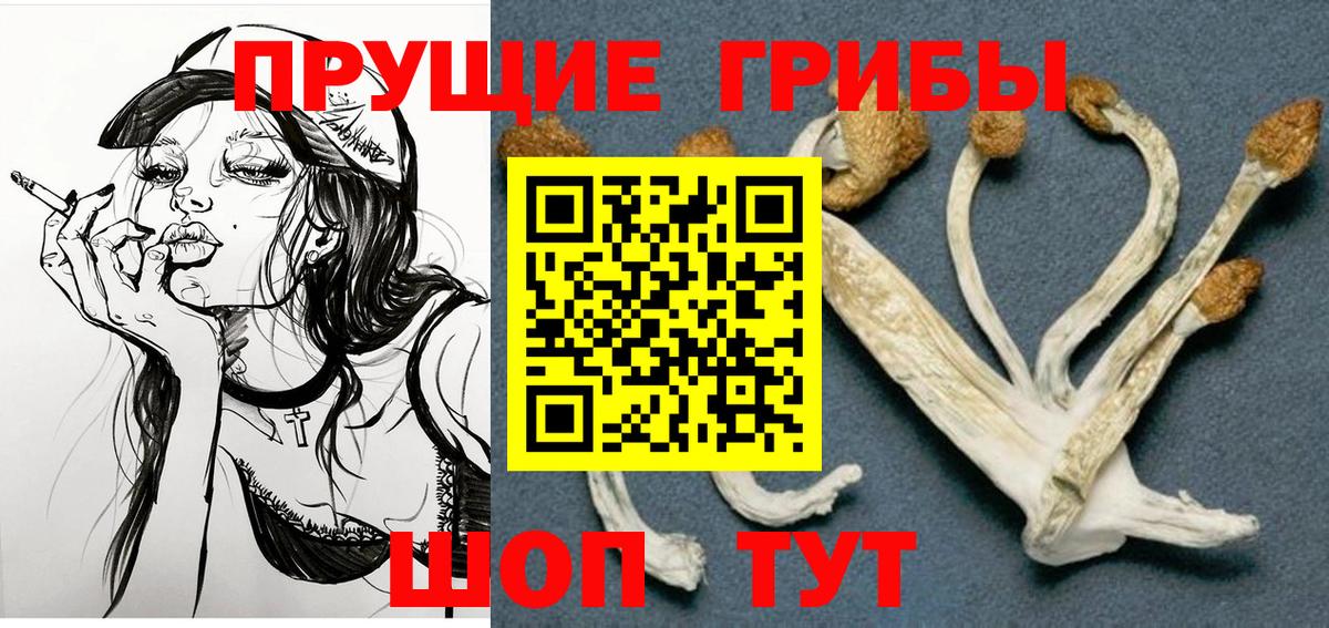 Псилоцибиновые грибы мицелий  Вход с VPN  купить наркоту  Новотроицк 